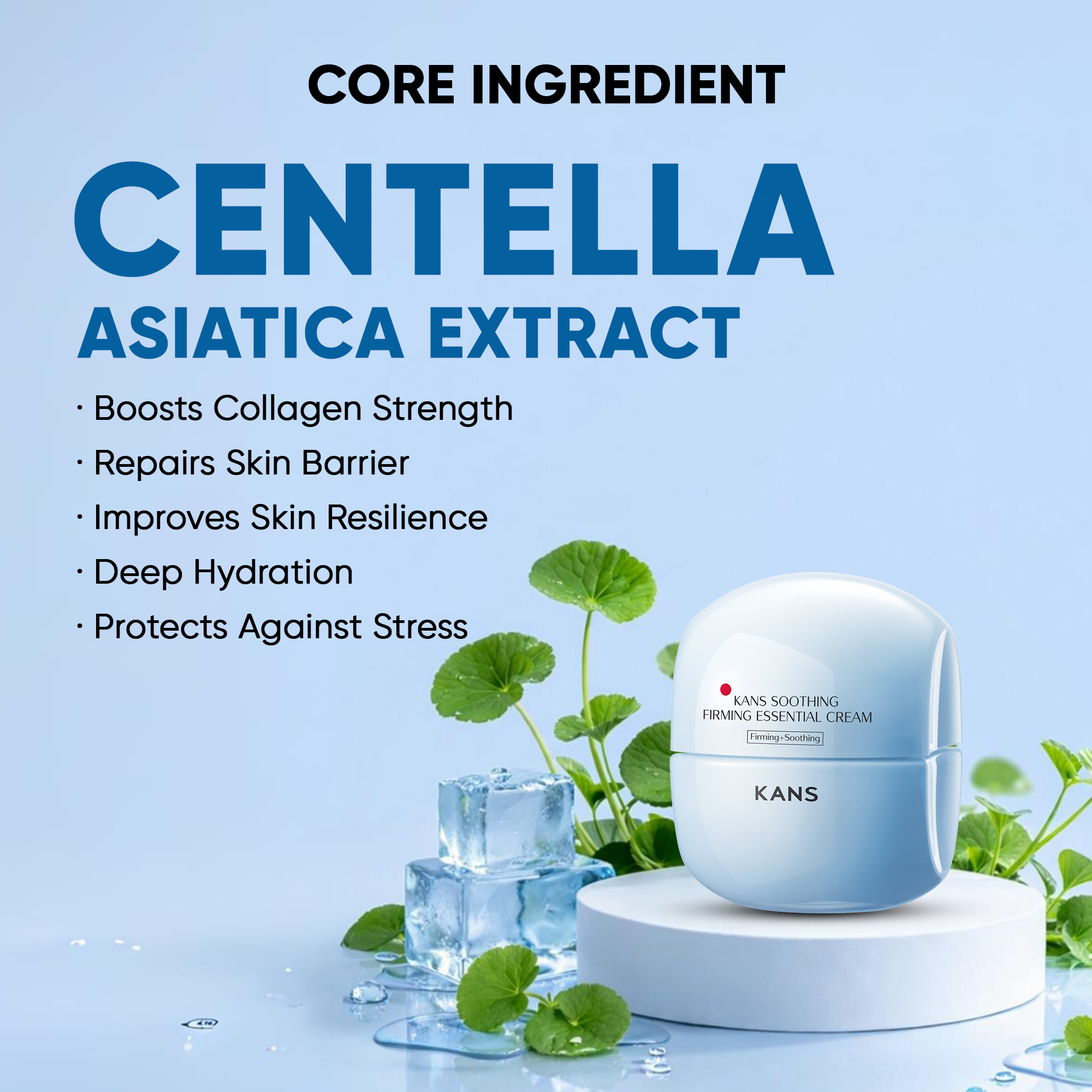 Night Cream